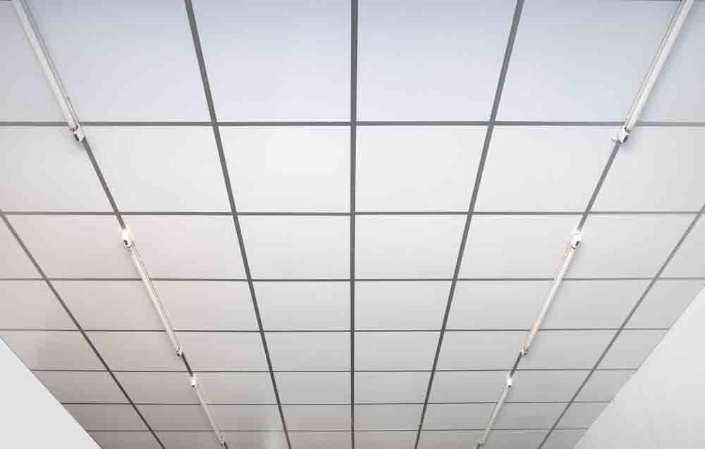 Acoustic Drop Ceiling Image 21